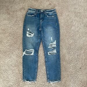 altard state jeans